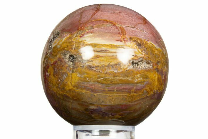 Colorful Petrified Wood (Araucaria) Sphere - Madagascar #323606